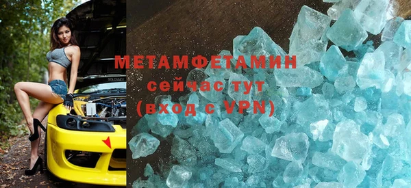 индика Арсеньев