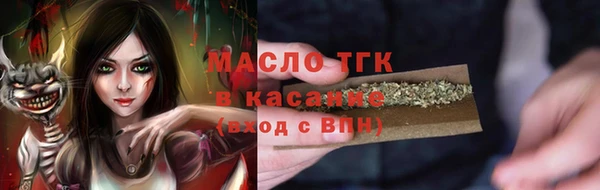 индика Арсеньев