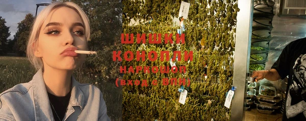 индика Арсеньев