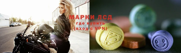 индика Арсеньев