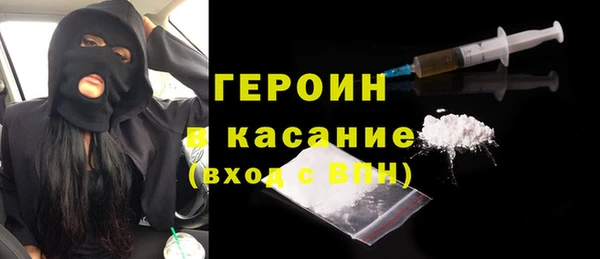 индика Арсеньев