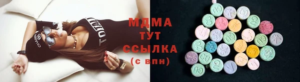 индика Арсеньев