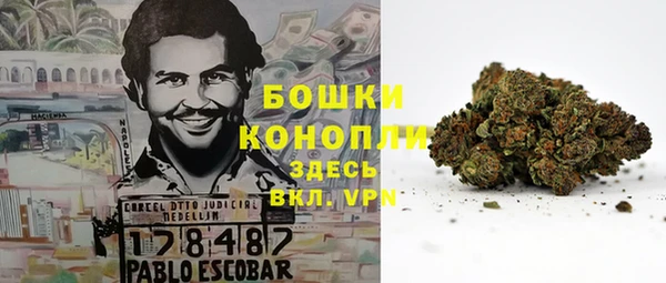ECSTASY Армянск