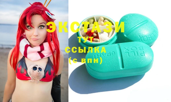 индика Арсеньев