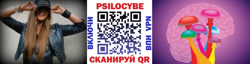 Псилоцибиновые грибы Cubensis Купить где Нестеров